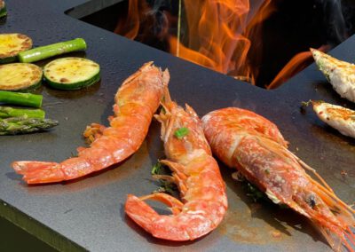 Plancha Grill