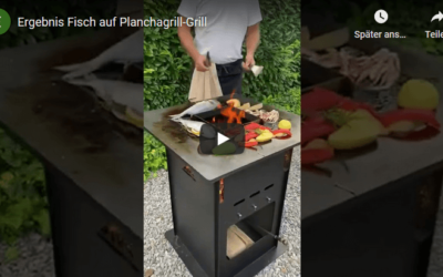 Fisch auf Plancha-Grill